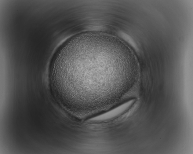 X0000093161071200710031441