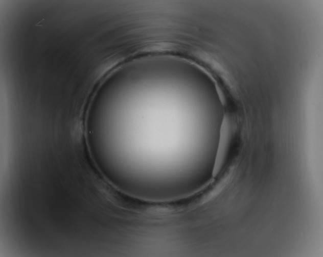 X0000093161073200710031441