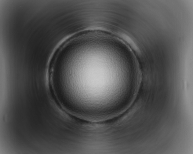 X0000093161076200710031441
