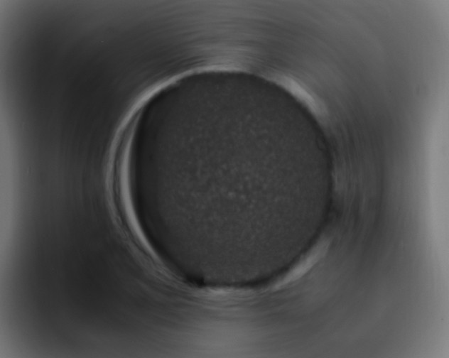 X0000093161077200710031441