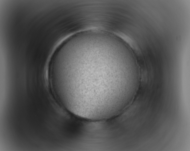 X0000093161078200710031441