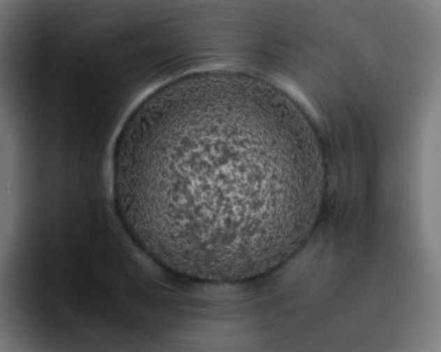 X0000093161079200710031441