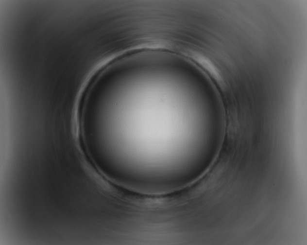 X0000093161080200710031441