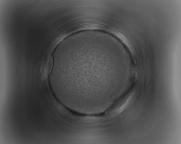 X0000093161081200710031441