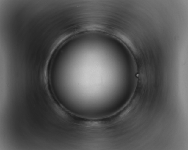 X0000093161082200710031441