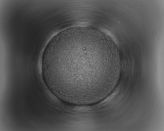 X0000093161083200710031441
