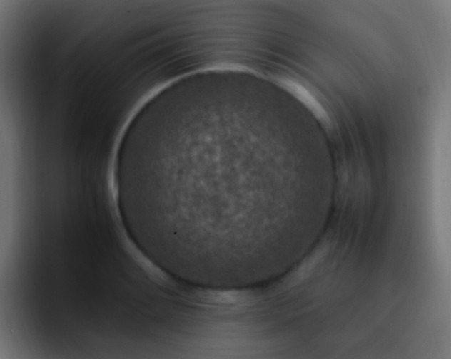 X0000093161084200710031441