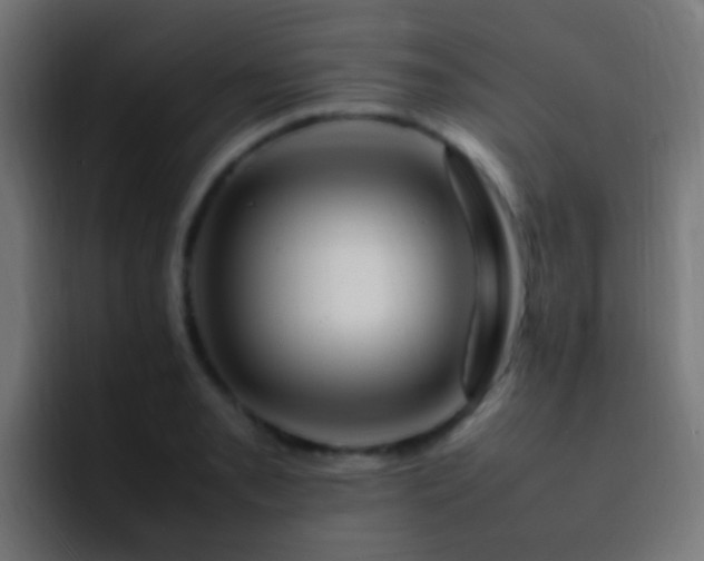 X0000093161085200710031441