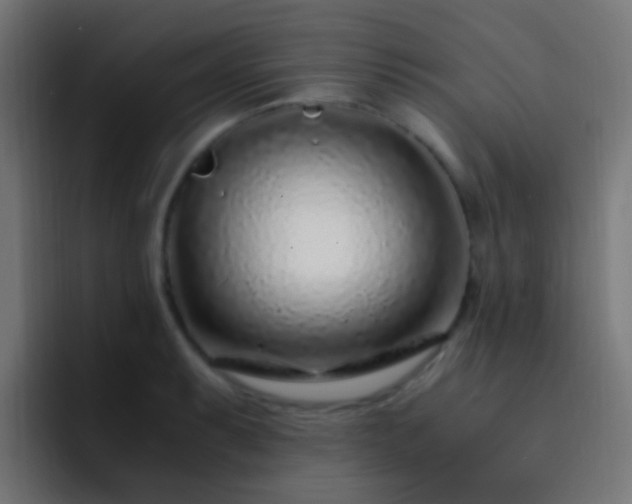 X0000093161087200710031441