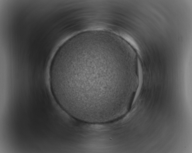 X0000093161088200710031441