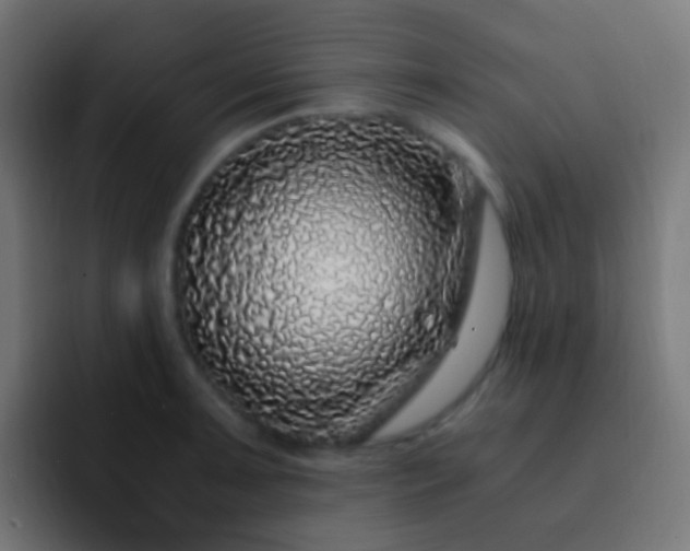 X0000093161091200710031441