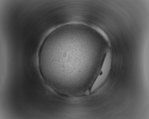 X0000093161096200710031441