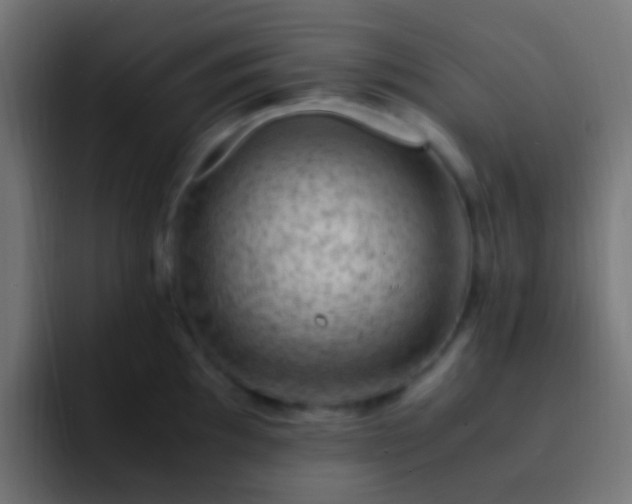 X0000093161097200710031441