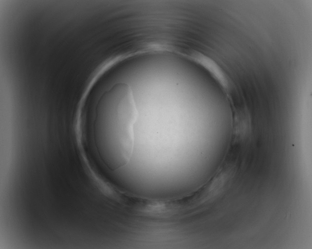 X0000093161098200710031441