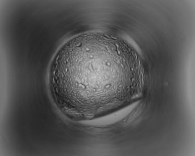 X0000093161099200710031441