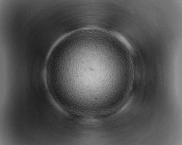 X0000093161100200710031441