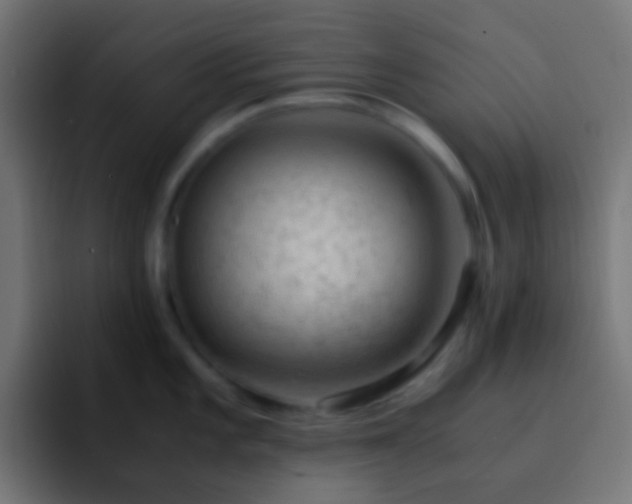 X0000093161101200710031441