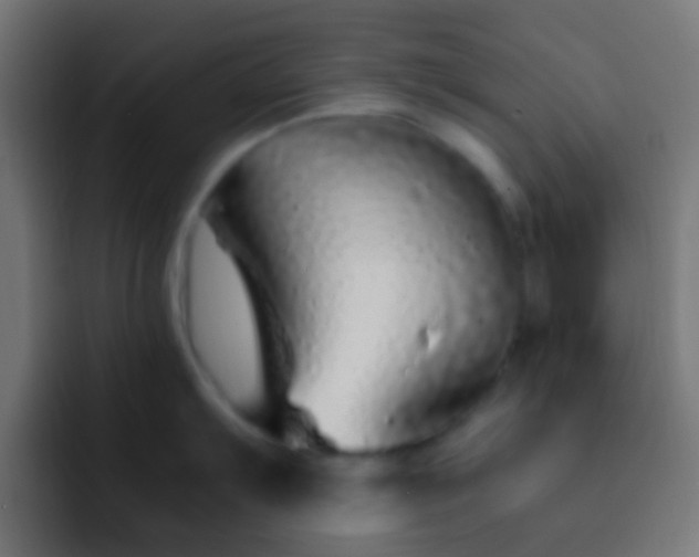 X0000093161103200710031441