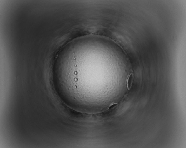 X0000093161105200710031441