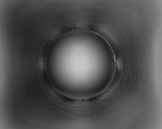 X0000093161107200710031441