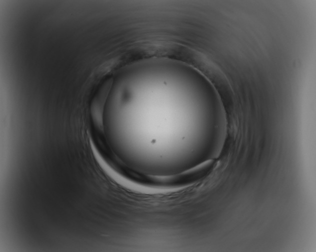 X0000093161108200710031441
