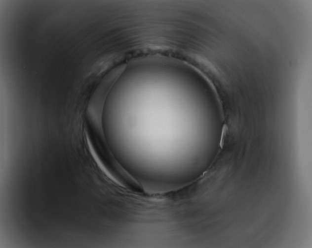 X0000093161110200710031441