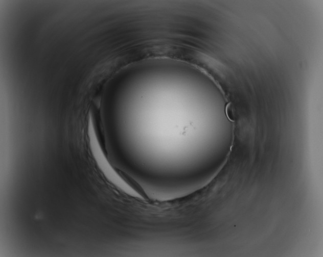 X0000093161111200710031441