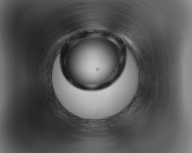 X0000093161112200710031441