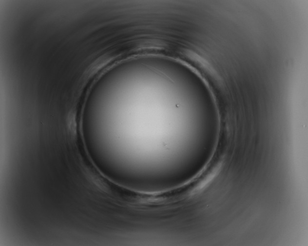 X0000093161113200710031441