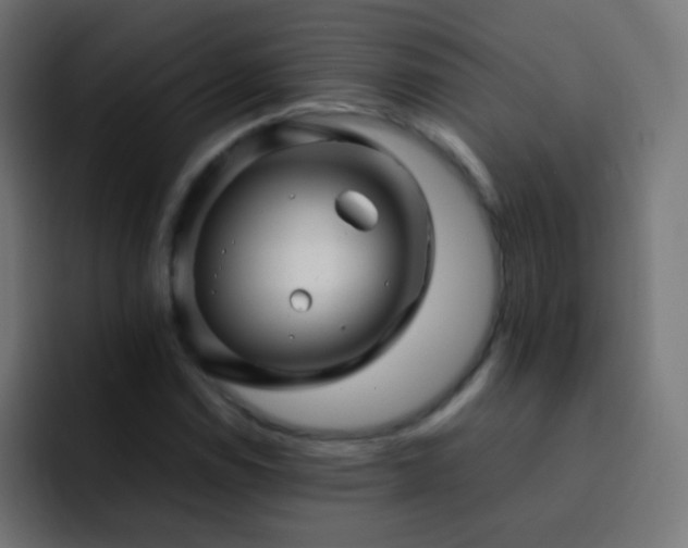X0000093161114200710031441