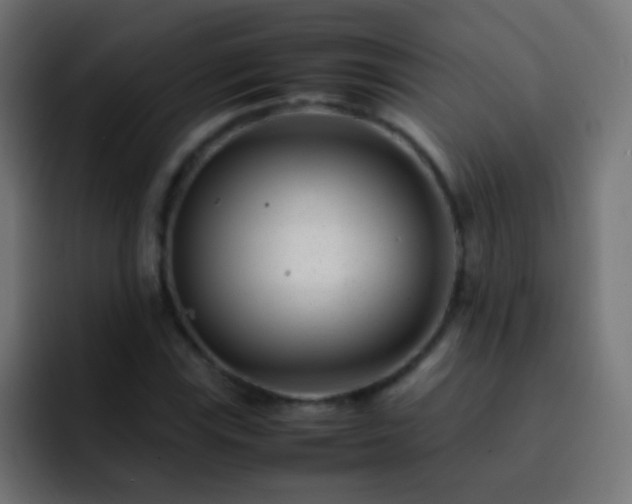 X0000093161115200710031441