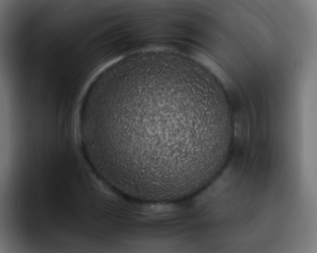 X0000093161117200710031441