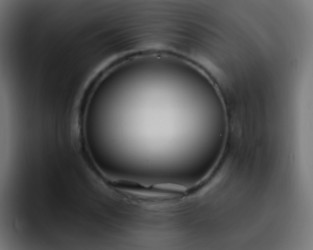 X0000093161118200710031441