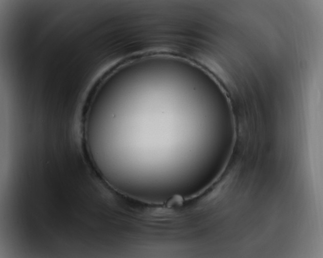 X0000093161119200710031441