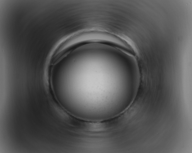 X0000093161120200710031441