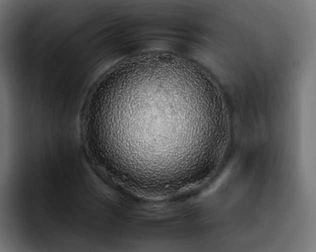 X0000093161121200710031441