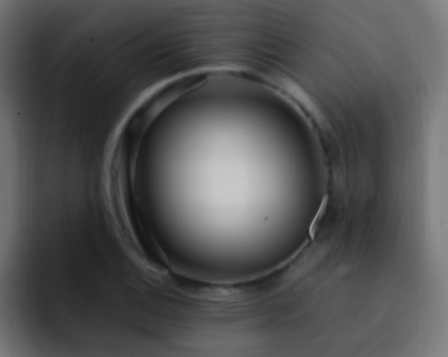 X0000093161124200710031441