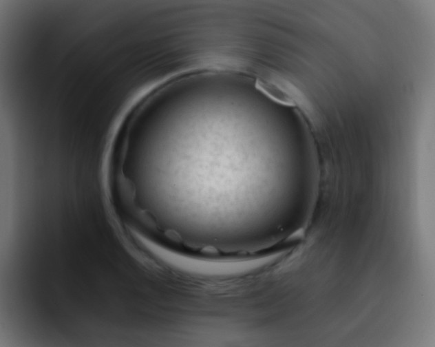 X0000093161128200710031441