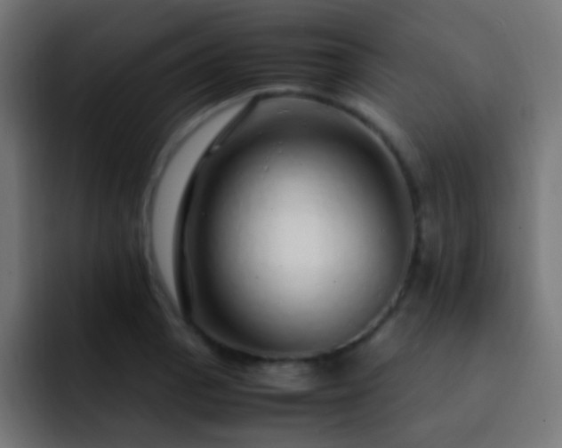 X0000093161129200710031441