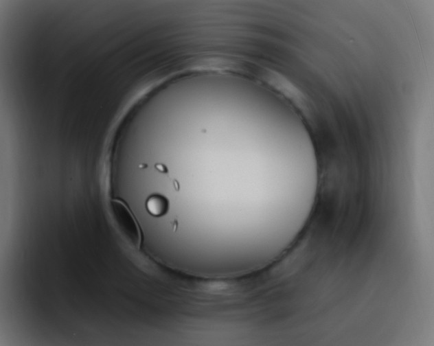 X0000093161130200710031441