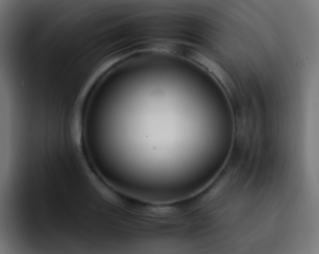 X0000093161131200710031441