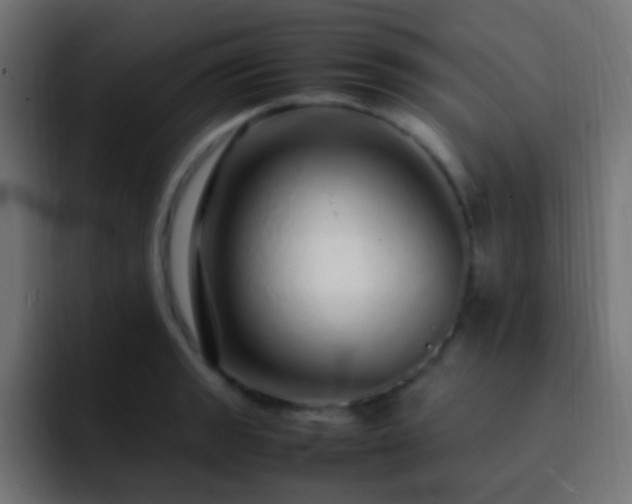 X0000093161133200710031441