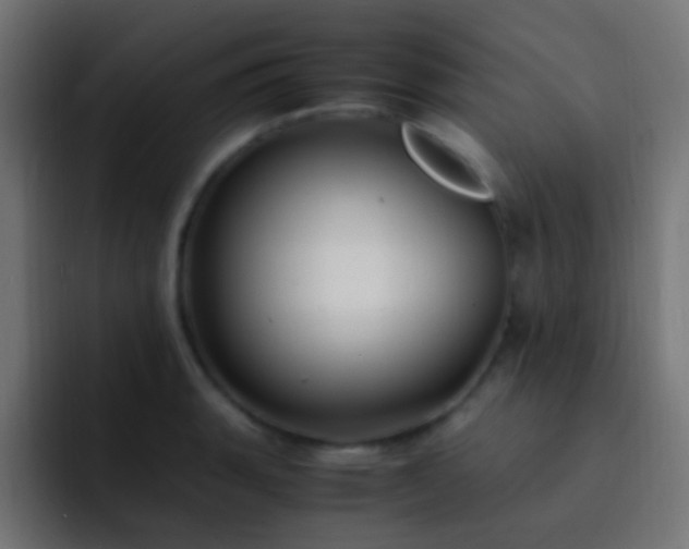X0000093161135200710031441
