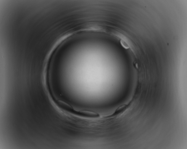X0000093161139200710031441
