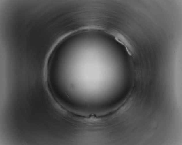 X0000093161140200710031441