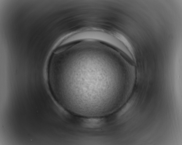 X0000093161141200710031441