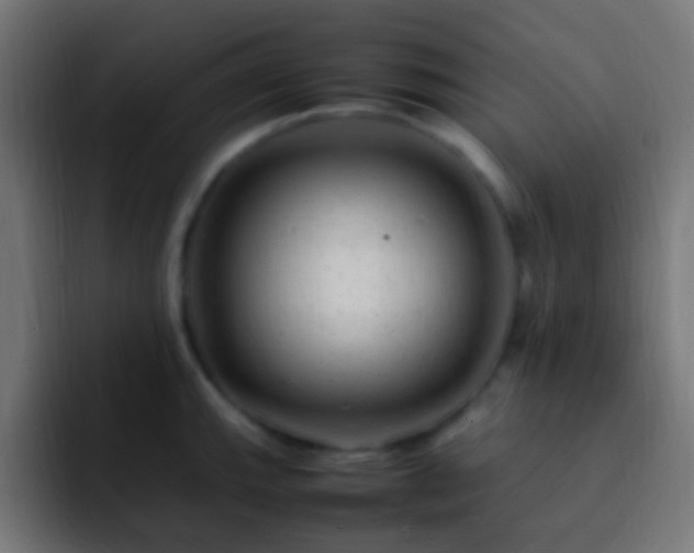 X0000093161143200710031441