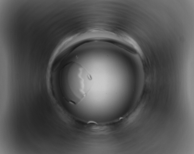 X0000093161146200710031441