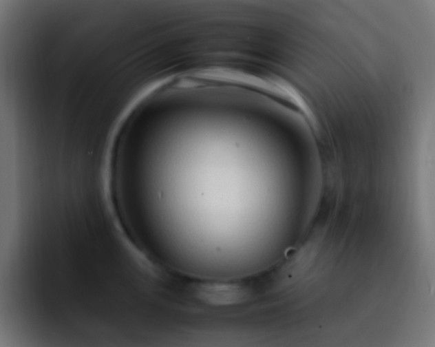 X0000093161147200710031441