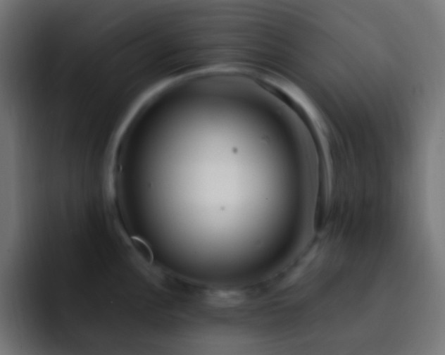 X0000093161148200710031441